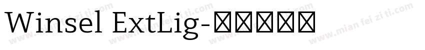 Winsel ExtLig字体转换